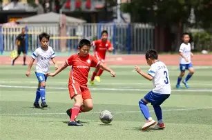 深圳探险之,漫步,银白栈道,米兰体育App官网,米兰体育App,米兰体育赛事,米兰体育下载,米兰体育娱乐